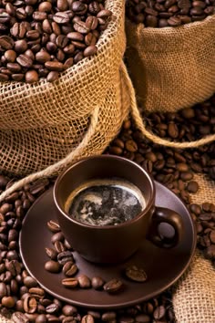 ¿De Dónde Viene Tu Café